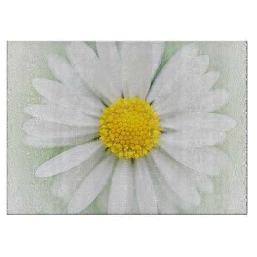 Daisy Snijplank (Voorkant)