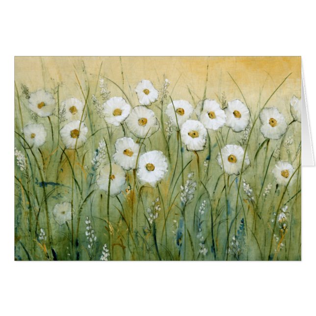 Daisy Spring I (Voorkant Horizontaal)