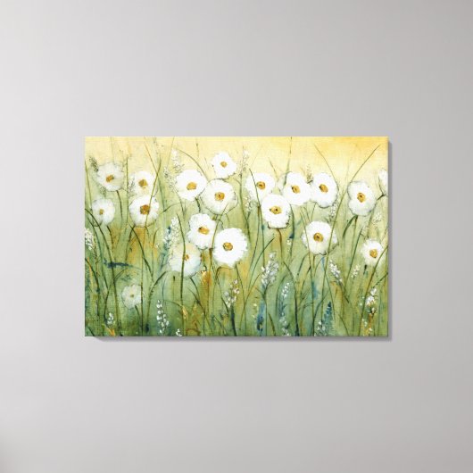 Daisy Spring I Canvas Afdruk (Voorkant)