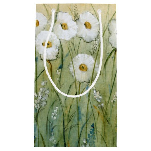 Daisy Spring I Klein Cadeauzakje (Voorkant)