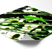 Daisy Stems Poster (Hoek)