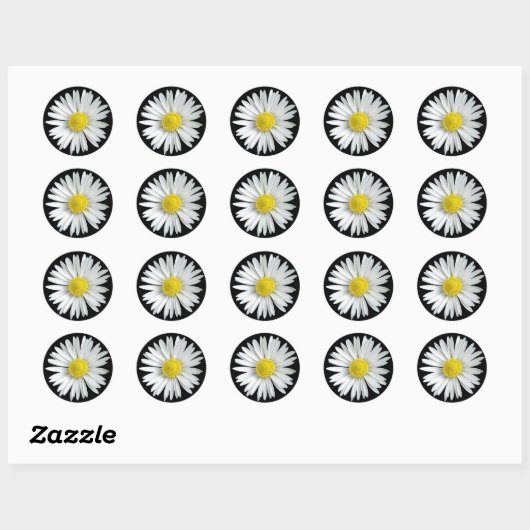 Daisy Sticker (Vel)