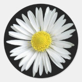 Daisy Sticker (Voorkant)