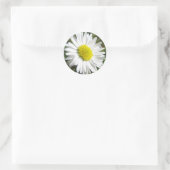 Daisy Sticker (Tas)