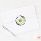 Daisy Sticker (Envelop)