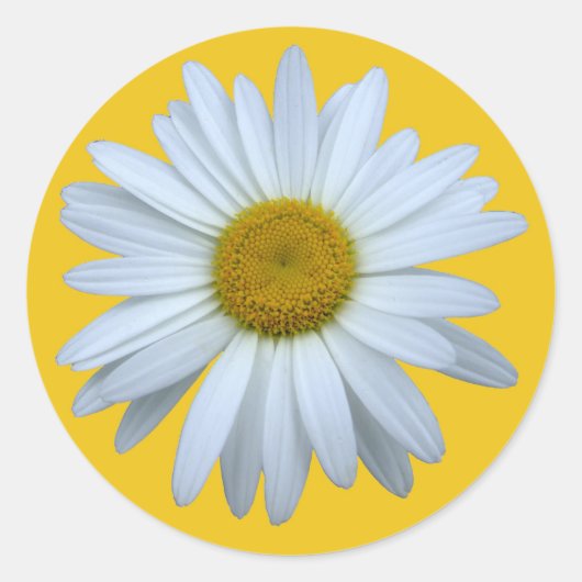 daisy sticker (Voorkant)
