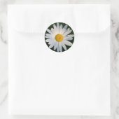 Daisy sticker (Tas)