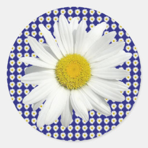  Daisy Stickers