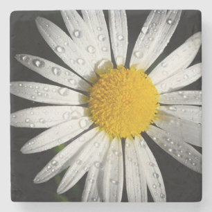 Daisy Stone Onderzetter