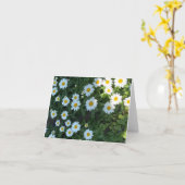 Daisy Struik Fotografie Kaart (Gele Bloem)