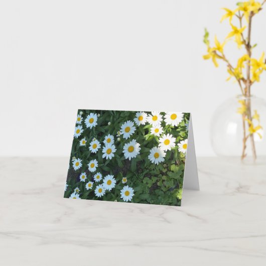 Daisy Struik Fotografie Kaart (Gele Bloem)