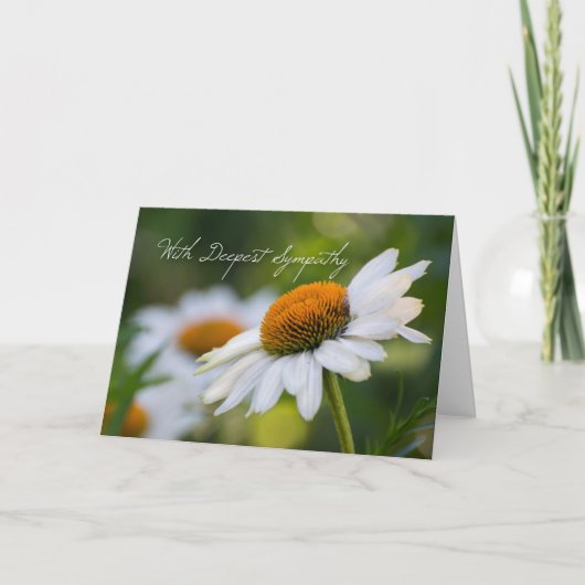 Daisy Sympathy Card Kaart (Voorkant)
