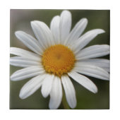 Daisy Tegeltje (Voorkant)