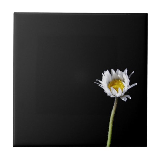 Daisy Tegeltje (Voorkant)