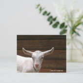 Daisy the Kind Goat Briefkaart (Staand voorkant)