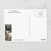 Daisy the Kind Goat Briefkaart (Achterkant)