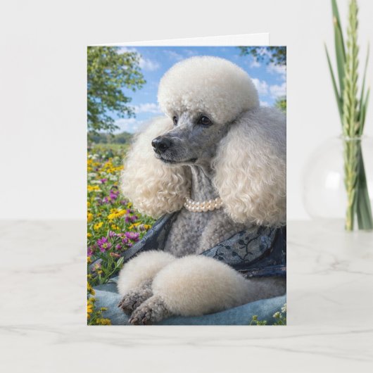 Daisy The Poodle Blank Card Kaart (Voorkant)