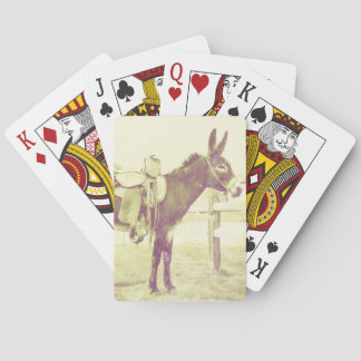 Daisy the saddle donkey pokerkaarten