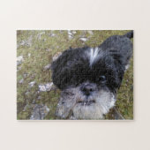 Daisy the shih tzu puzzle for doggy lovers!!! legpuzzel (Horizontaal)