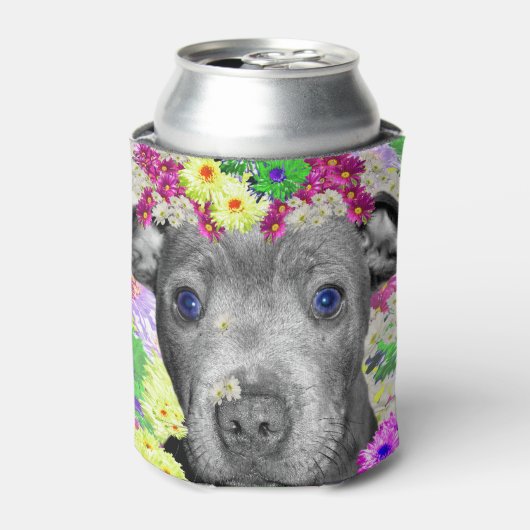 Daisy The Staffordshire Bull Terrier Puppy, Blikjeskoeler (Blikje Voorkant)