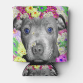 Daisy The Staffordshire Bull Terrier Puppy, Blikjeskoeler (Voorkant)