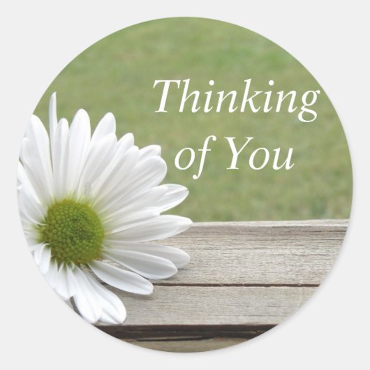 Daisy Theme Ronde Sticker (Voorkant)