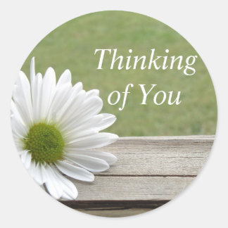 Daisy Theme Ronde Sticker