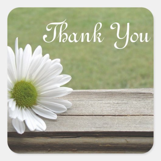 Daisy Theme Vierkante Sticker (Voorkant)