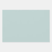 Daisy Time Cute Retro Floral Pattern Ice Blue Inpakpapier Vel (Voorkant 3)