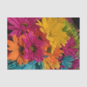 Daisy Tissue Paper Tissuepapier (Voorkant)