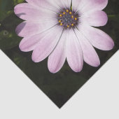 Daisy Tissue Paper Tissuepapier (Detail)