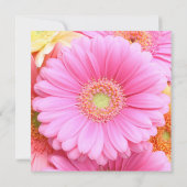 Daisy Uitnodigingen - Roze Gerber Daisy (Achterkant)