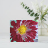 Daisy van dichtbij briefkaart (Staand voorkant)