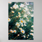 Daisy-veld Poster (Voorkant)