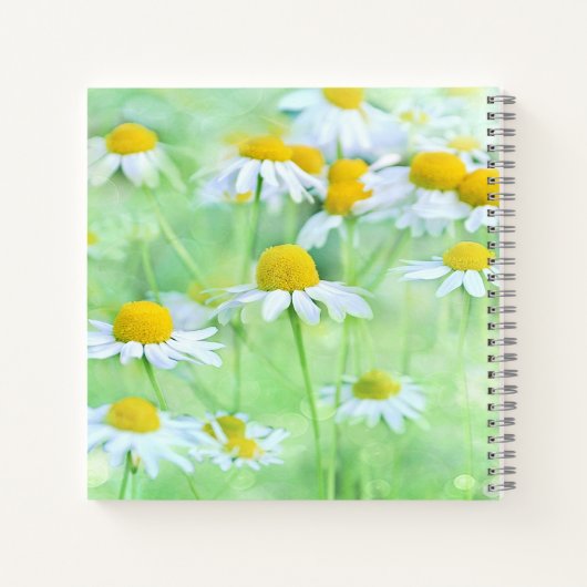 Daisy Viering van het Leven Foto Begrafenis Gastbo Notitieboek (Achterkant)