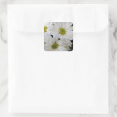 Daisy Vierkante Sticker (Tas)