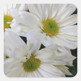 Daisy Vierkante Sticker
