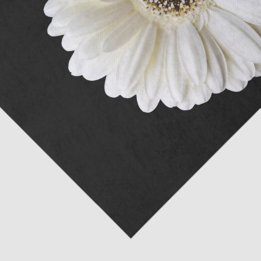 Daisy. Weefselpapier ontkoppelen Tissuepapier (Detail)