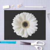 Daisy. Weefselpapier ontkoppelen Tissuepapier (Craft)