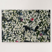 Daisy Weiland Legpuzzel (Horizontaal)