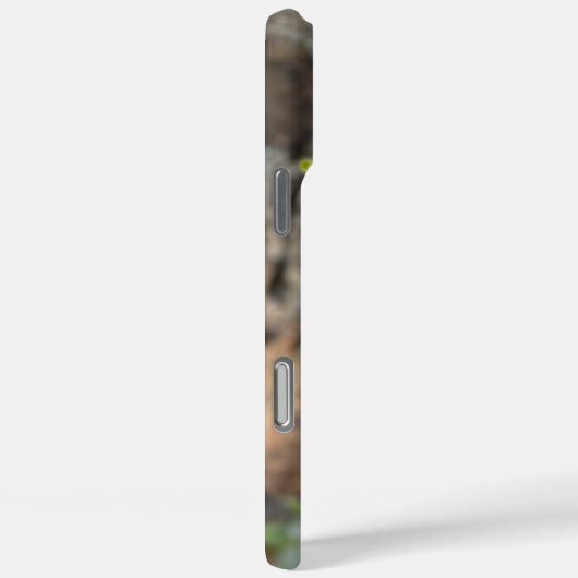 Daisy Wildflowers in Rocks Custom iPhone Case (Achterkant / Rechts)