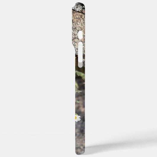 Daisy Wildflowers in Rocks Custom iPhone Case (Achterkant / Links)