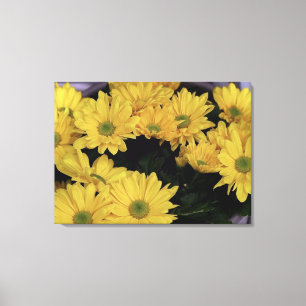 Daisy Yellow Flowers Flora Foto Prints