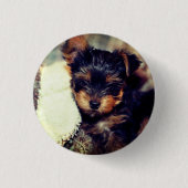 Daisy Yorke Pup, Small, 1¼-inch Button rondom (Voorkant)