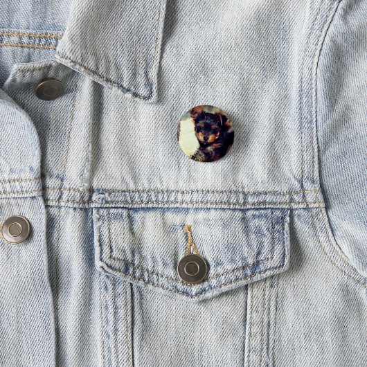 Daisy Yorke Pup, Small, 1¼-inch Button rondom (In situ)