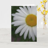 Daisy (zachte schets) Kaart (Gele Bloem)