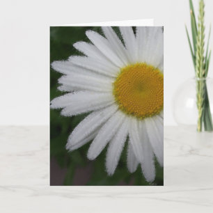 Daisy (zachte schets) Kaart