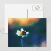 Daisybug Briefkaart (Voorkant / Achterkant)