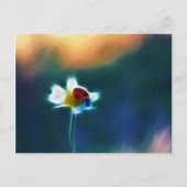 Daisybug Briefkaart (Voorkant)