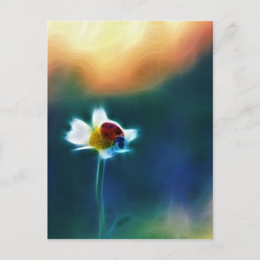 Daisybug Briefkaart (Voorkant)